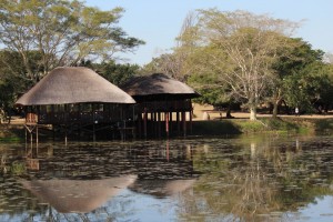 Bonamanzi game reserve