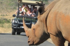 Rhino-Safari-Vehicle